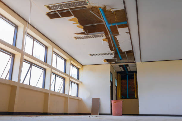 Best Flooded house restoration  in Desoto, TX