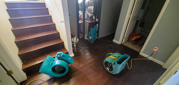Best Basement water damage restoration  in Desoto, TX