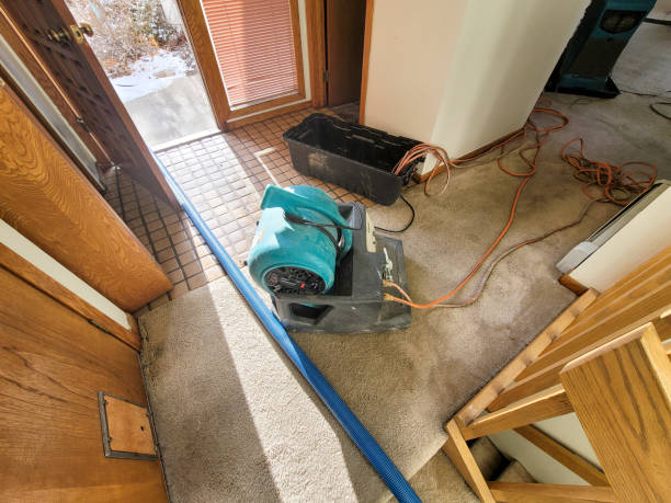 Carpet water damage restoration in Desoto, TX