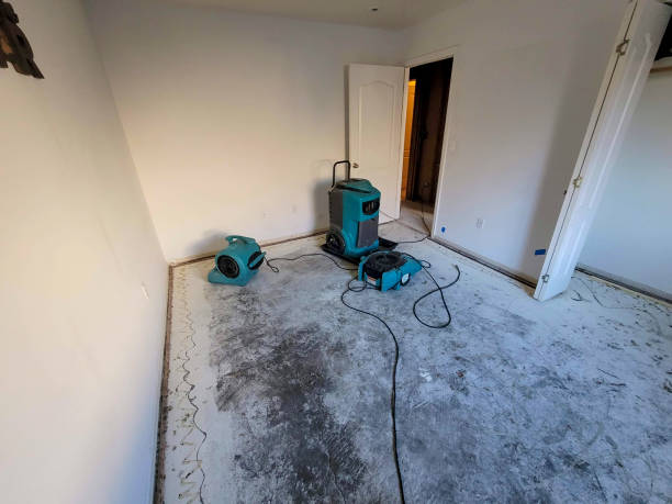 Best Flooded house restoration  in Desoto, TX