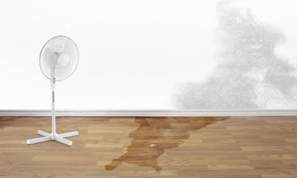 Trusted Desoto, TX Water damage restoration Experts