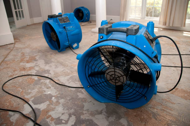 Best Water damage restoration specialists  in Desoto, TX