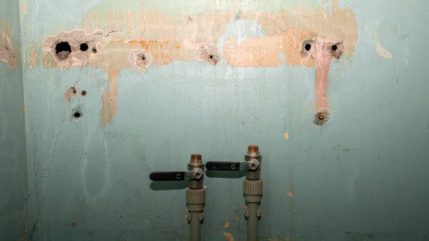Best Flood restoration services  in Desoto, TX