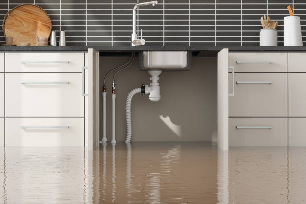 Best Water damage restoration near me  in Desoto, TX